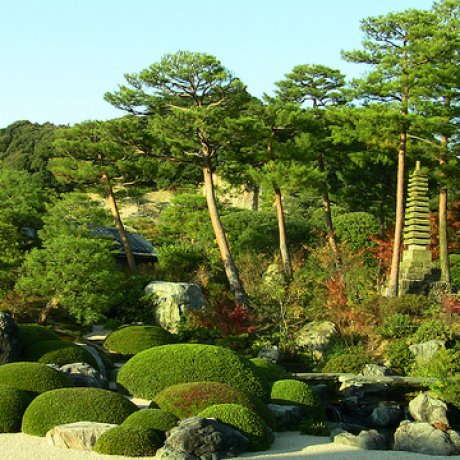 Adachi Museum of Art Adachi Museum of Art