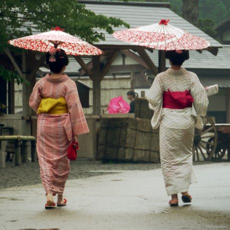 Edo Wonderland, Nikko Edo Wonderland, Nikko