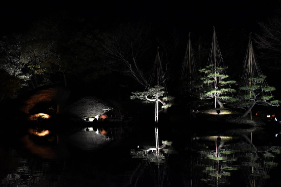 Jardim Yokokan Iluminado em Fukui