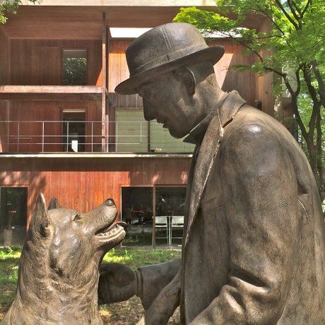 Hachiko na Universidade de Tóquio Hachiko na Universidade de Tóquio