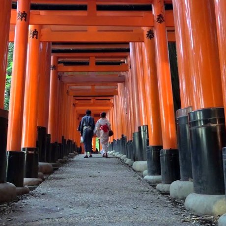 Santuário Fushimi Inari, Dia e Noite Santuário Fushimi Inari, Dia e Noite