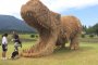Dinossauros de Palha em Niigata!