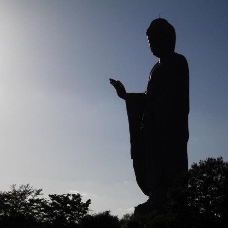 Ushiku Daibutsu Ushiku Daibutsu
