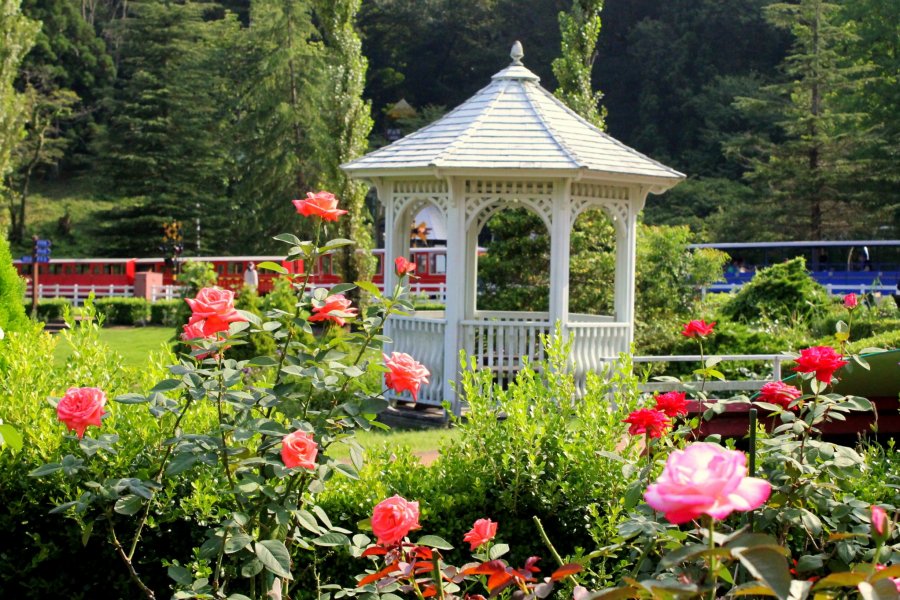 Um Jardim de Fadas na Cidade de Izu