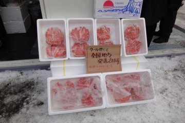 Yuki Matsuri, Parque Odori, Sapporo