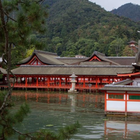 Miyajima, Santuário Itsukushima Miyajima, Santuário Itsukushima