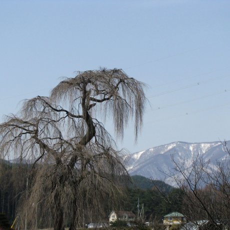 Nagano Countryside Nagano Countryside