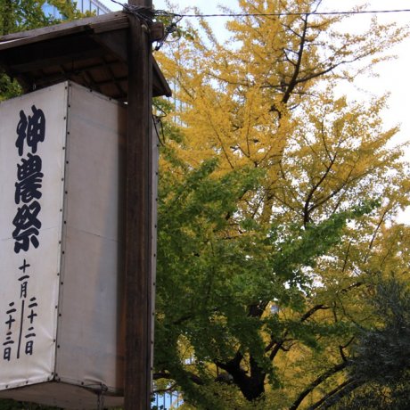 Festival Shinno-sai (22-23 Nov) Festival Shinno-sai (22-23 Nov)