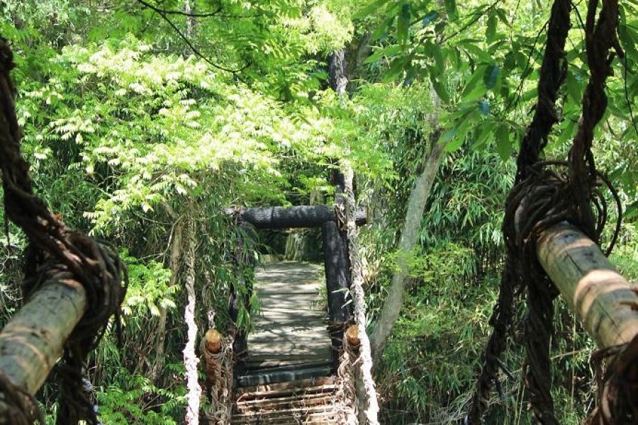 Aldeia Shikoku