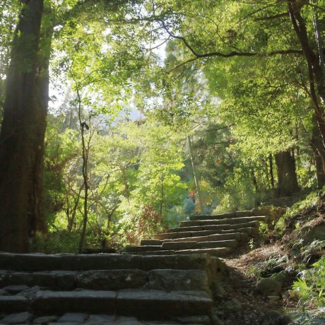 Kumano Kodo